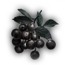 Wild Berries icon