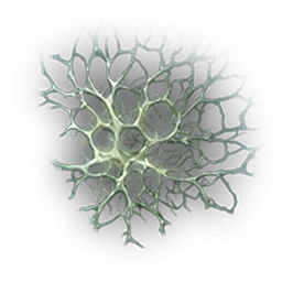 Mutant Mycelium